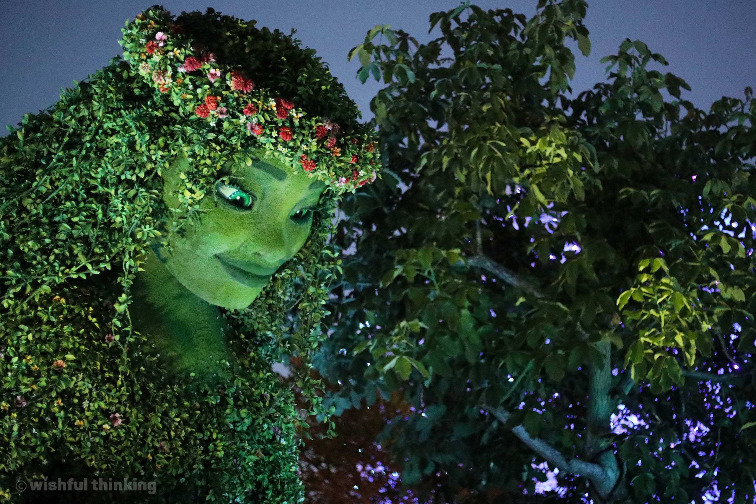 A verdant Te Fiti glows at night at the Journey of Water - Inspired by Moana attraction at Walt Disney World's EPCOT Center